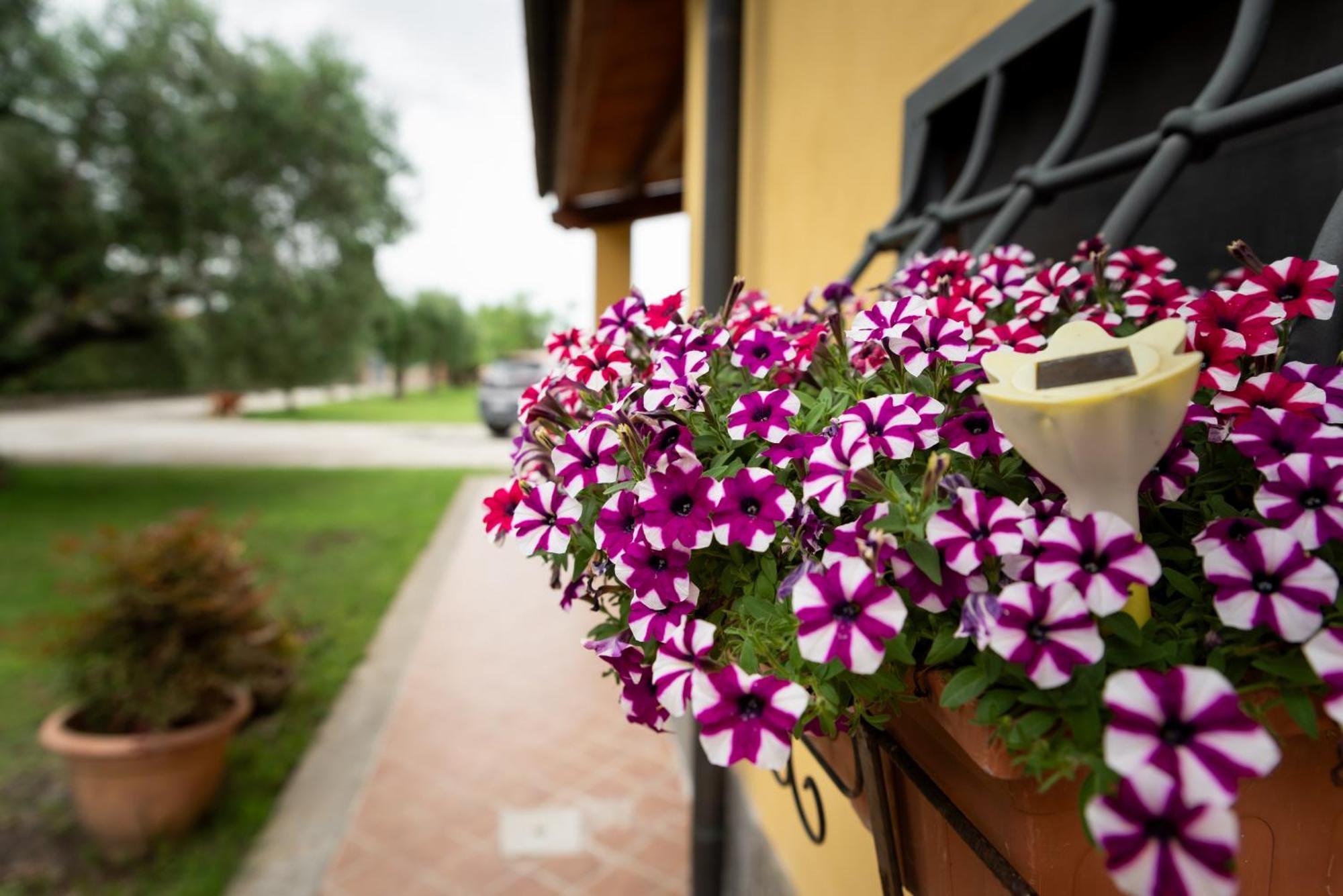 L'Antico Vigneto Hotel มารีโน ภายนอก รูปภาพ