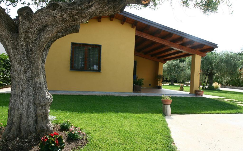 L'Antico Vigneto Hotel มารีโน ภายนอก รูปภาพ